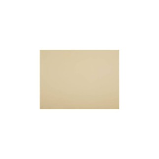 Ten Rengi Pigment Boya 1kg - 1